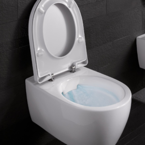 Back-to-Wall Toilets