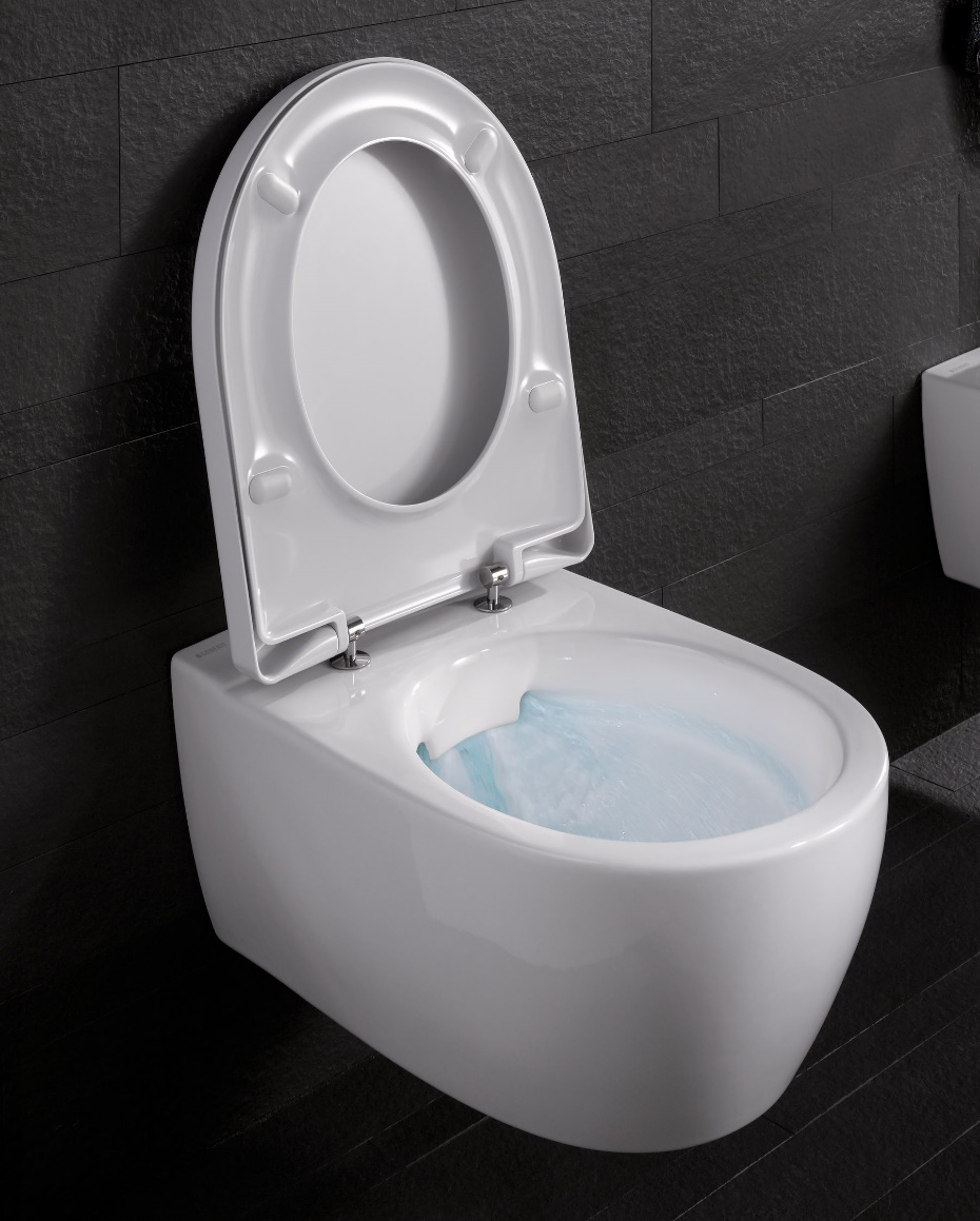 Back-to-Wall Toilets