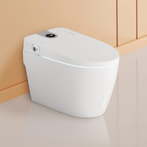 One-Piece Toilets