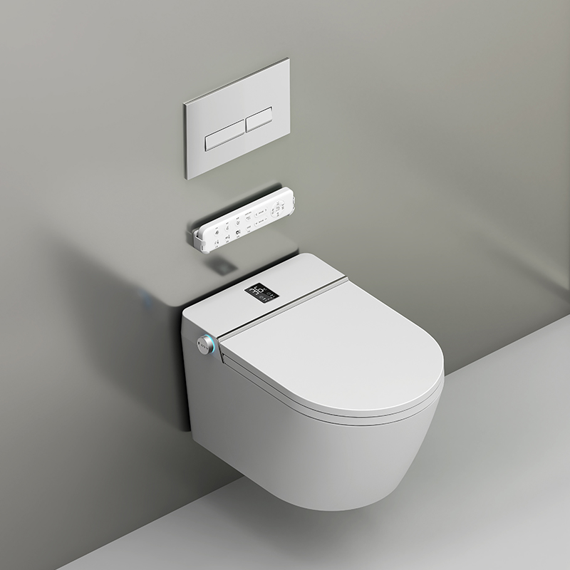 Smart Toilets